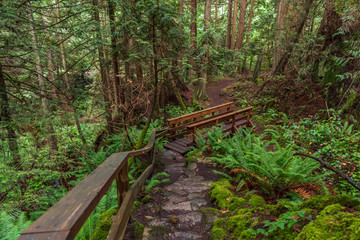 Mountain Trail in British Columbia, Canada. Mountains Background.