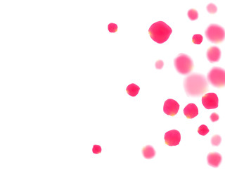 Rose gold petals flying cosmetics vector background.