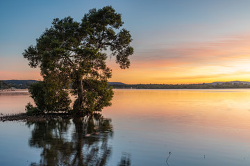 Soft and Gentle Sunrise over the Bay
