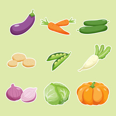 set of vegetables