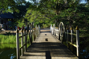 wooden bridge in the park