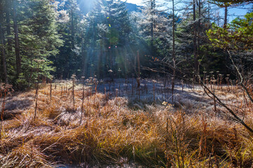 上高地　景色　旅行　観光客