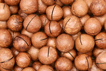 Macadamia nuts textue