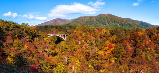 Color leaf around Naruko Bridge, Miyagi, Tohoku, Japan - 301670824