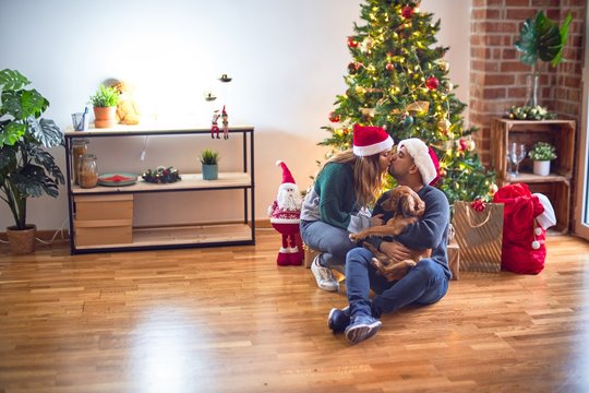 Young beautiful couple smiling happy and confident.. Sitting on the floor wearing santa claus hat hugging dog around christmas tree at home