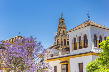 Tower of the Mosque Cathedral in Cordoba, Spain
