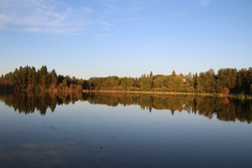 Obraz premium Calm Reflections, Elk Island National Park, Alberta