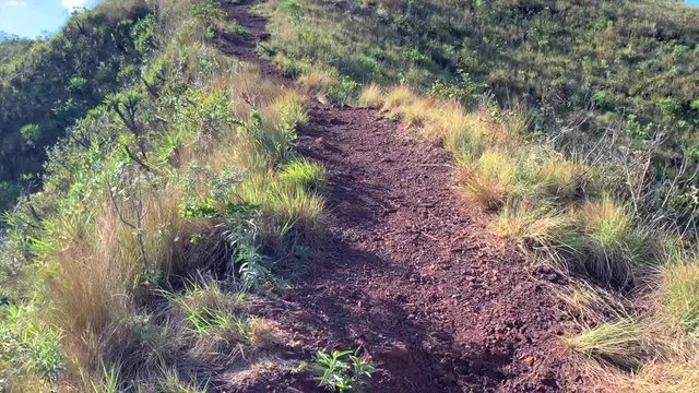 Walking back at track t the road, after mountain recognition in Minas Gerais , Rola Mo&ccedil;a mountains