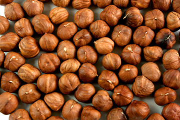 hazelnuts on a white background