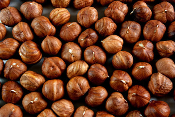 hazelnuts on white background