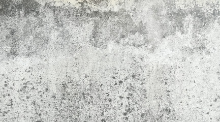 Dirty fungus or mold on grunge concrete wall texture for background, copy space for your text and content.