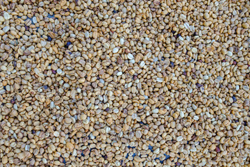 Making coffee beans dry by using sunlight before roasting