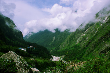 Valley of flowers national park , Uttarakhand, India