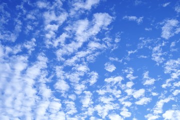 Fototapeta na wymiar Beautiful Blue Sky with Fluffy White Clouds