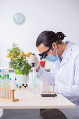 Young male chemist working in the lab