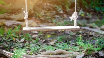 Close up Swing hanging from tree with sunshine at garden , made from wooden board.