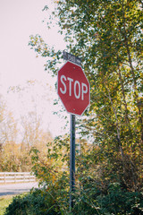 stop sign on the road