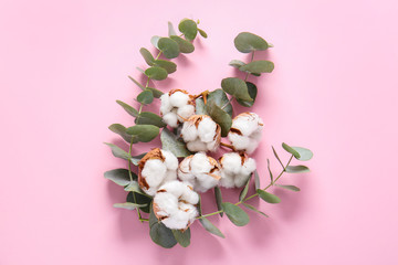 Beautiful cotton flowers and eucalyptus branches on color background