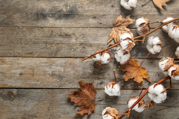 Beautiful cotton branches and autumn leaves on wooden background