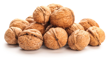 Tasty walnuts on white background