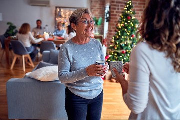 Family and friends dining at home celebrating christmas eve with traditional food and decoration, women talking together happy and casual