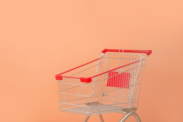 Empty shopping cart near color wall
