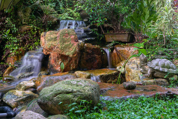 Garden landscape with waterfall, rocks and green plants, Oasis and nature background concept.