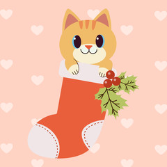 The character of cute cat in the big red sock for use the christmas theme. The cute cat smiling in the big sock with the Holly leaves. The character of cute cat in flat vector style.