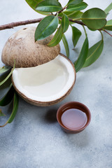 Natural coconut water, elevated view over light-blue stone background with a ficus tree, studio shot