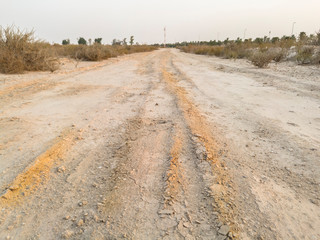 gravel road and lots of green wild trees on the both side of it 