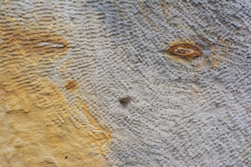 Old wall with almost completely fallen off coating