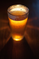 Beer backlit and golden