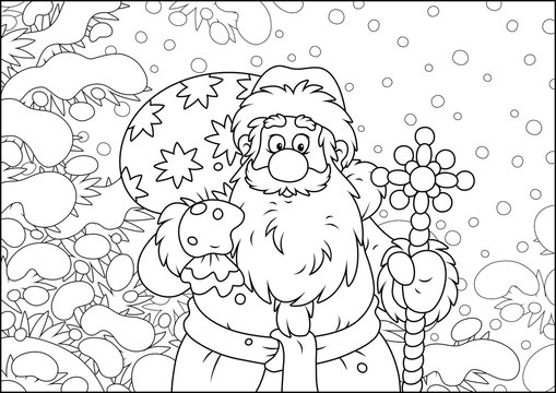 Santa Claus with his bag of Christmas gifts among snow-covered fir branches of a winter forest on the cold snowy day, black and white vector illustration in a cartoon style