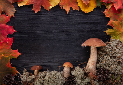 Autumn background with mushrooms, maple leaves and moss on a dark wooden background