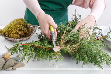 Woman shows how to make small christmas tree with a coniferous shrub branch, stones and moss