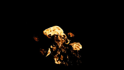 Fire flames on black background. fire on black background isolated. fire patterns