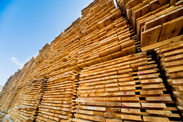 Lumber ready for loading into a dry kiln. Wood drying in containers