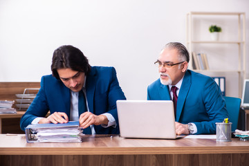 Fototapeta premium Young and old employees working together in the office