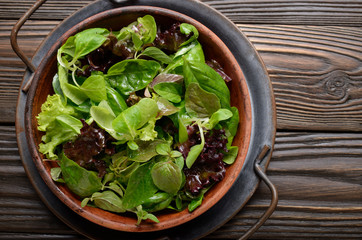 Top view at clay dish with green and violet lettuce, lamb's lettuce salad with oregano flowers on vintage metal tray