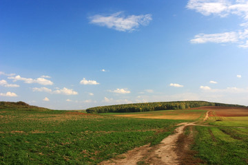 Country road in the field