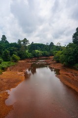 Dried river in middle of the jungle 