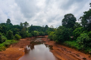 Fototapeta na wymiar Dried river in middle of the jungle 