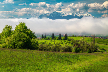 Spring misty landscape with green fields and snowy mountains, Romania