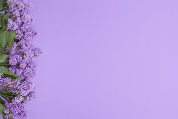 Top view of laying lilac flowers lying on the table, spring has come, copy space purple background. Lilac blossom, spring cosmetics for face and hands