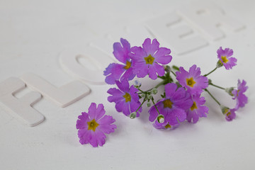 Little Purple Flowers And Word