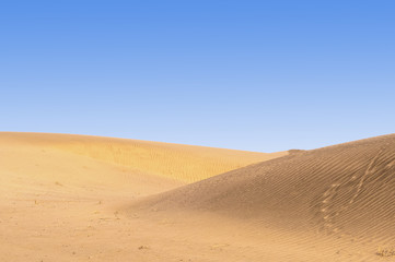 Sand dunes in the desert of Oman