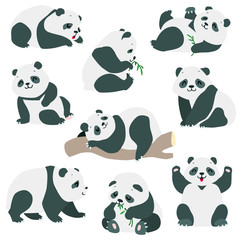 Panda set. Cartoon illustration of cute baby panda bears in various poses isolated on white background. vector 8 EPS © slybrowney
