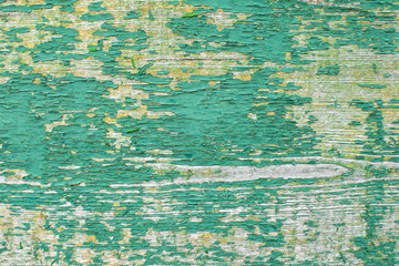 Aged painted green and yellow wood texture with natural patterns background