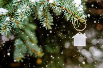 The symbol of the house on the snow-covered branches of spruce