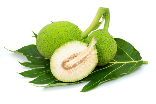 Close up heap of breadfruit (known as bread nut, Artocarpus altillis) and half sliced with green leaf isolated on white background with clipping path. Natural herbal plant concept.